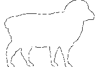 sheep template to print