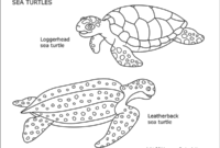 printable sea turtle