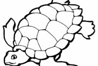 sea turtle coloring page free