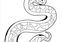 snake color sheet