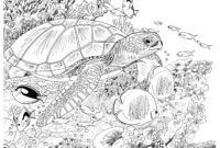 sea turtle coloring pages printable