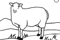 coloring pictures of a sheep