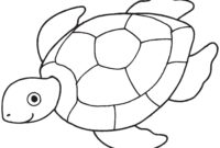 sea turtle to color