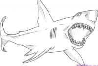 great white coloring pages