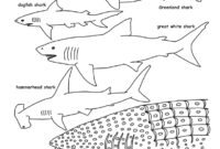 printable coloring pages sharks