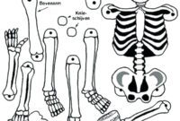 skeleton print out