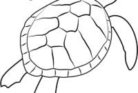 coloring pages sea turtle