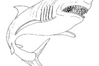 shark coloring pages free printable