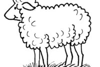 coloring picture of a sheep