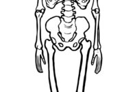 human skeleton cut out printable