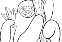 cute sloth coloring pages