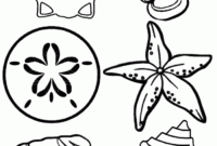 seashell coloring pages free