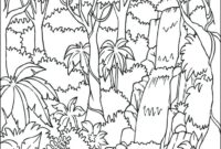 rainforest colouring